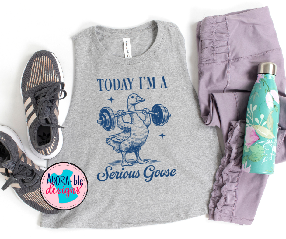 Today I'm a Serious Goose