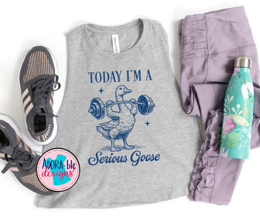 Today I'm a Serious Goose