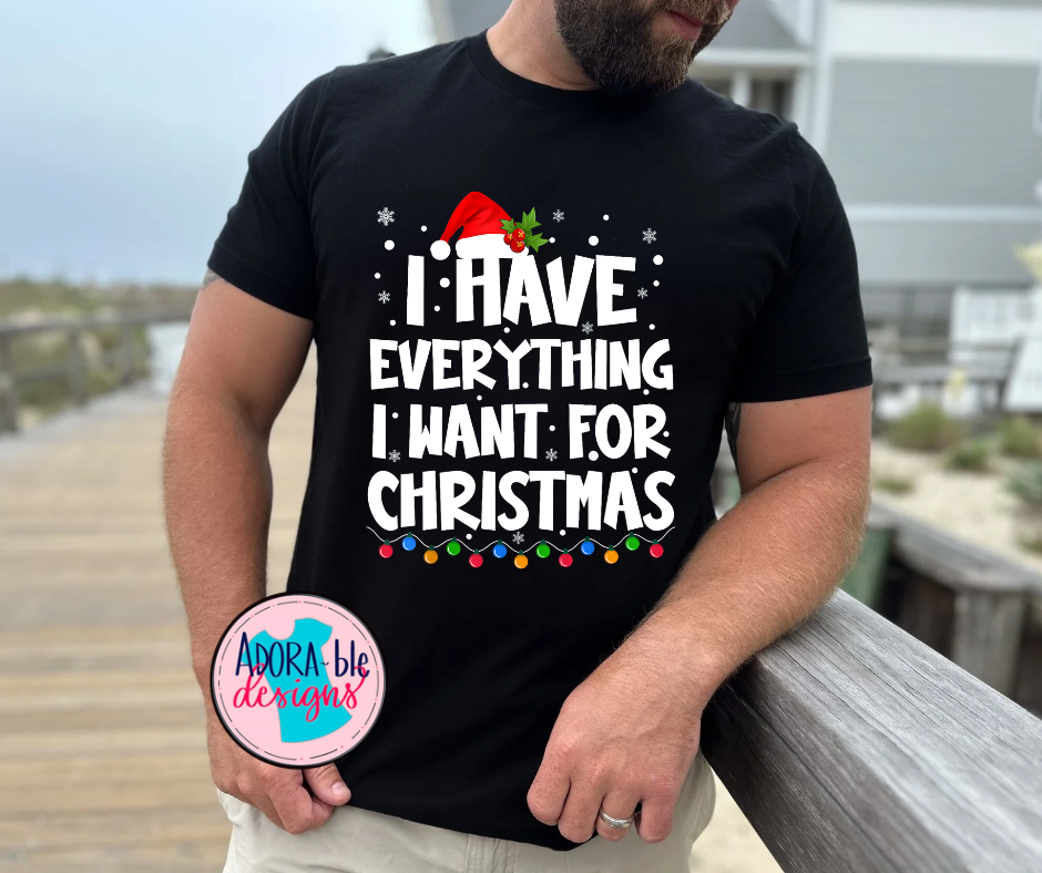 I Have Everything I Want for Christmas