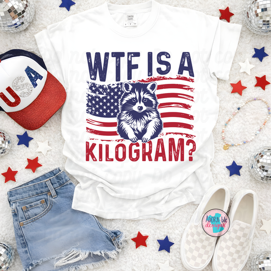 WTF is a Kilogram