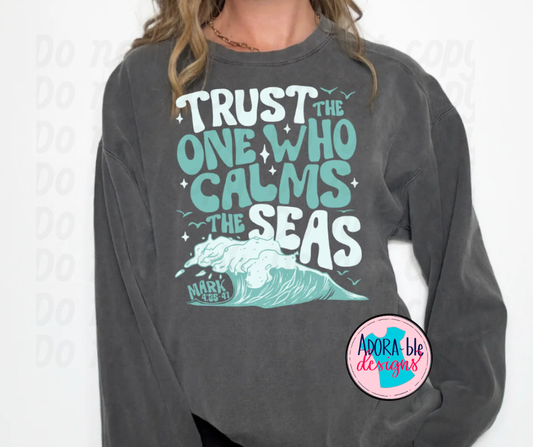 Trust the One Who Calms the Seas